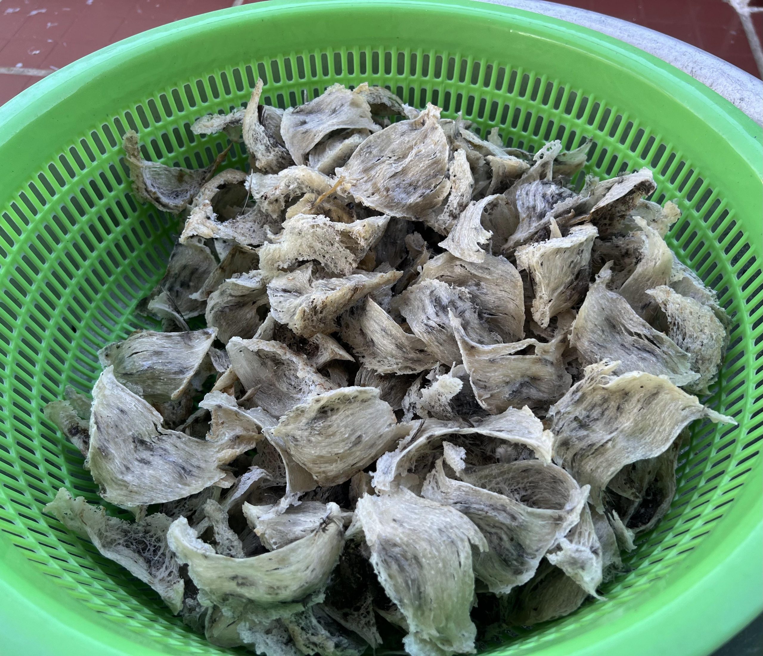 2024_08_08_16_16_IMG_8078